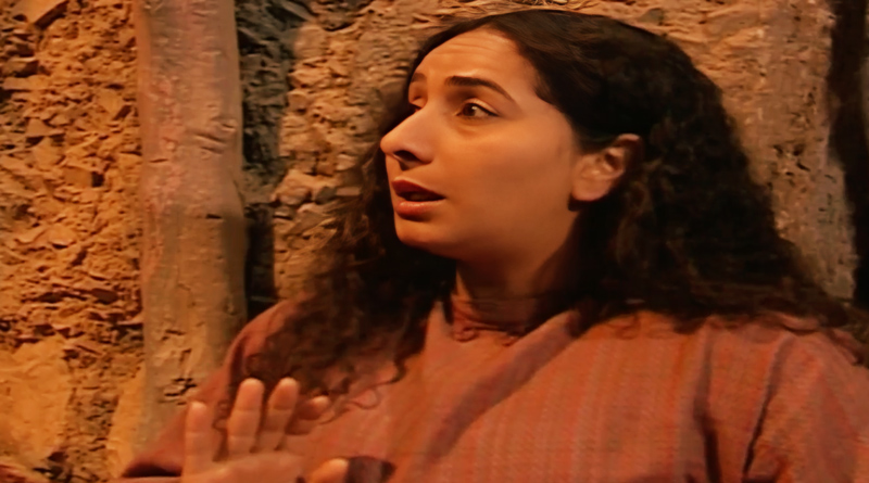 صورة حلقة المحتوى